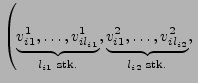 $\displaystyle \left(\underbrace{v_{i1}^{1},\ldots,v_{il_{i1}}^{1}}_{l_{i1}\text...
...},\underbrace{v_{i1}^{2},\ldots,v_{il_{i2}}^{2}}_{l_{i2}\textrm{ stk.}},\right.$