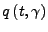 $\displaystyle q\left(t,\gamma\right)$